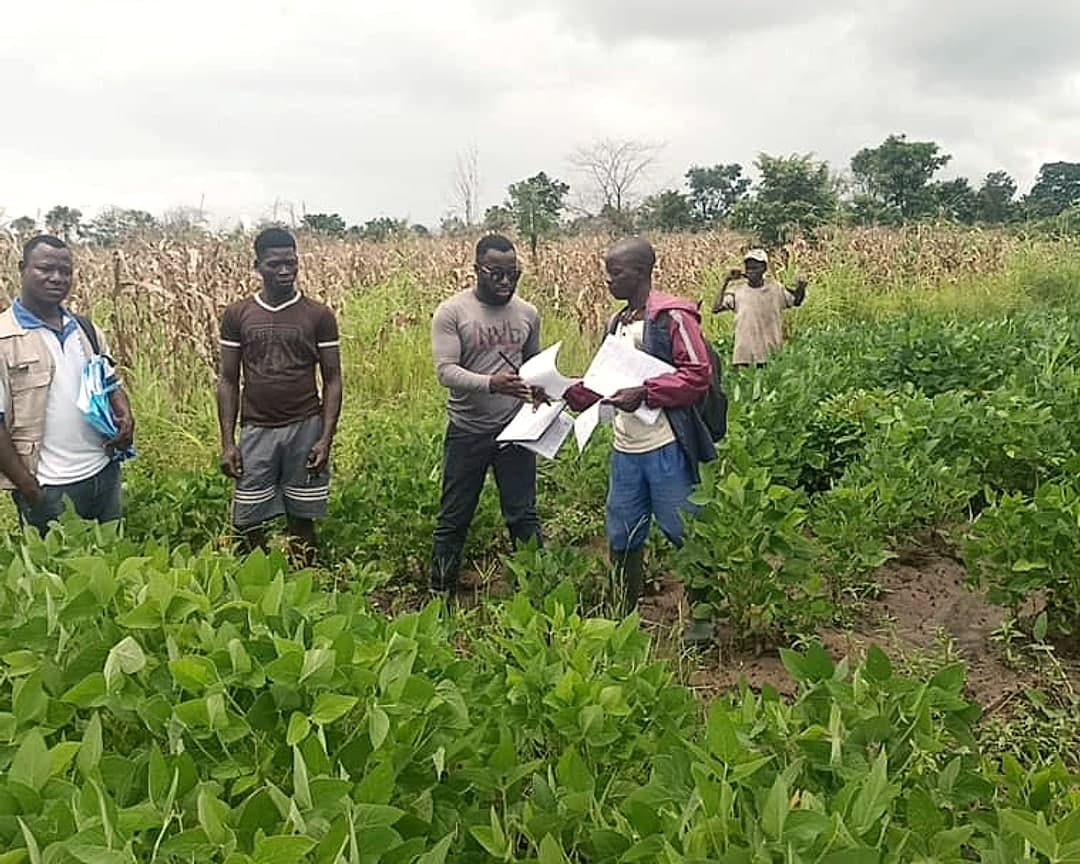 Field team reviewing a soybean crop with farmers